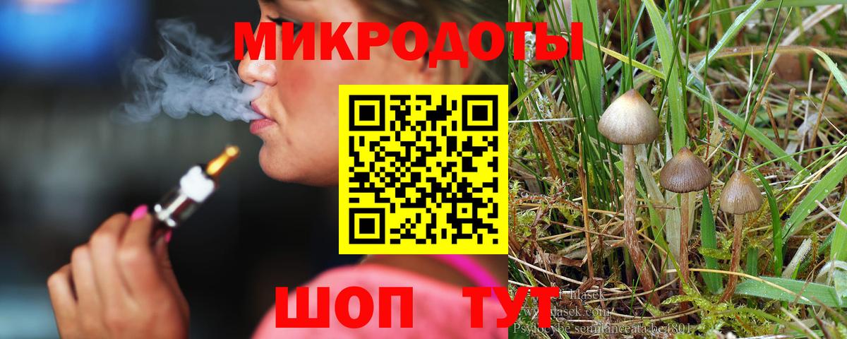 Галлюциногенные грибы MAGIC MUSHROOMS Бийск