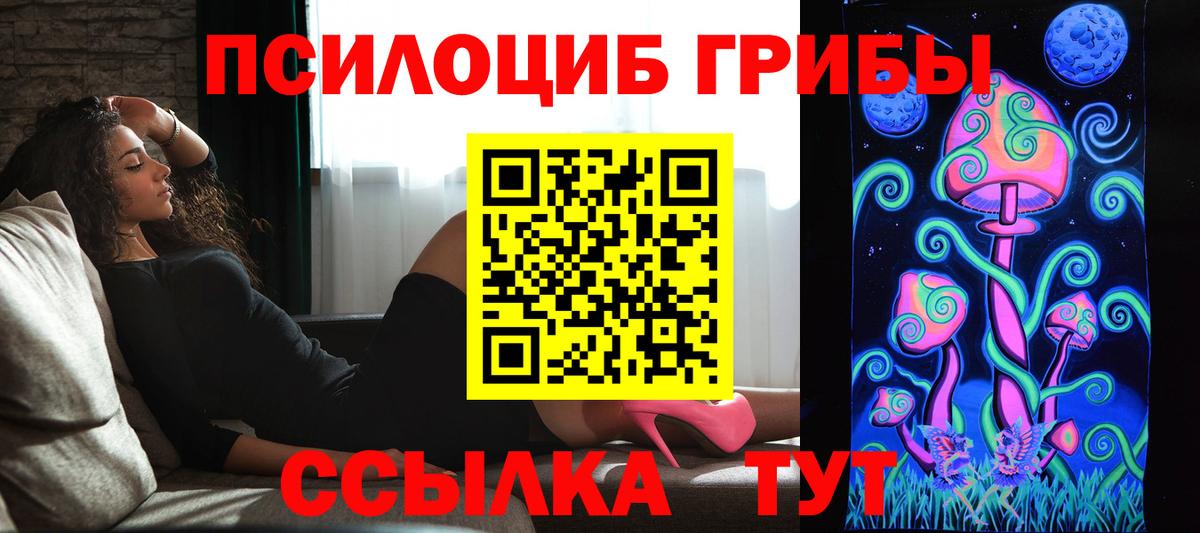 Бийск  Псилоцибиновые грибы ЛСД  Вход с VPN  купить наркотик  Галлюциногенные грибы мухоморы 